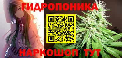 гашишное масло Кингисепп