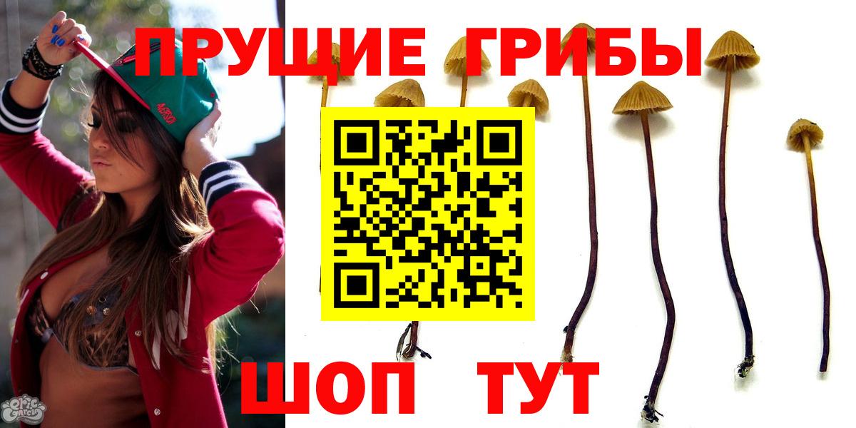 Галлюциногенные грибы GOLDEN TEACHER  Псилоцибиновые грибы мухоморы  Кувандык  Вход с VPN 